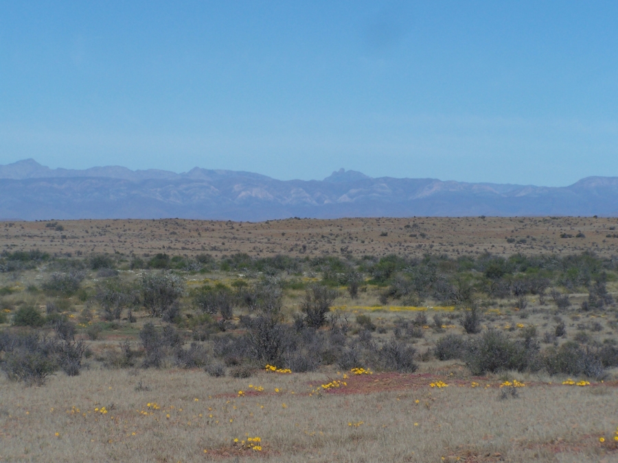 Commercial Property for Sale in Prince Albert Rural Western Cape